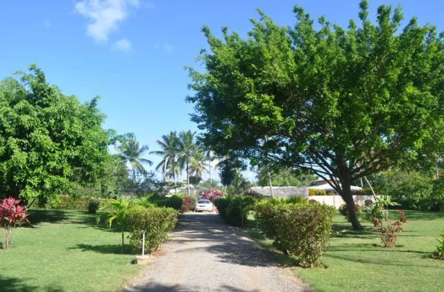El Jardin Del Coco Las Galeras Samana Dominican Republic